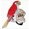 Logo of the association Amicale des Sapeurs-Pompiers d’Annonay-Rhone-Agglo